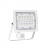PROSTO-KINA LED REFLEKTOR BELI 30W+SENZOR POKRETA/ 6500K/2550LM/230V/IP65